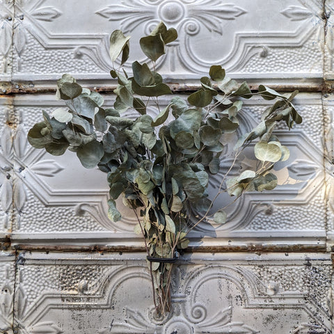 Dried Foliage Bunch-Eucalyptus