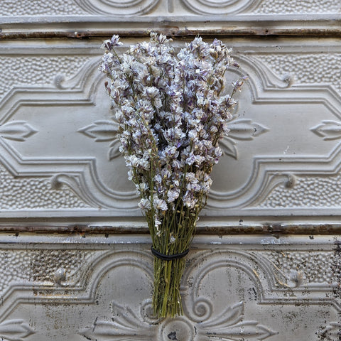 Dried Flower Bunch-Larkspur Smokey Eyes