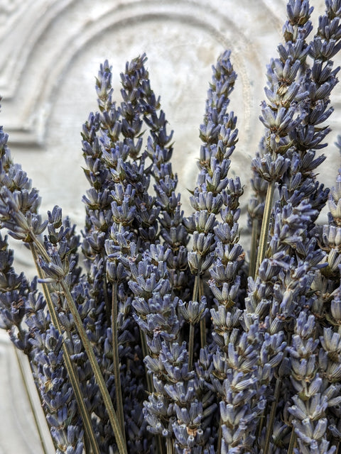 Dried Flower Bunch-Lavender