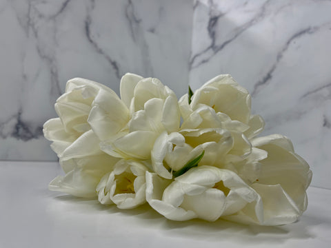 Tulip-Hakuun