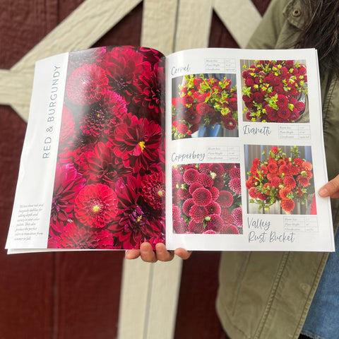 Dahlia Collection Catalogue