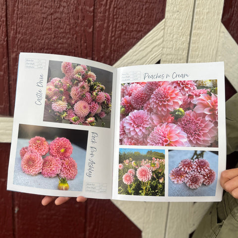 Dahlia Collection Catalogue