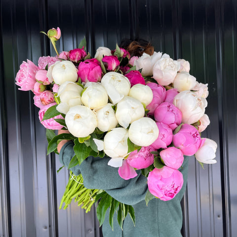 Peonies at Your Door 4-week Subscription