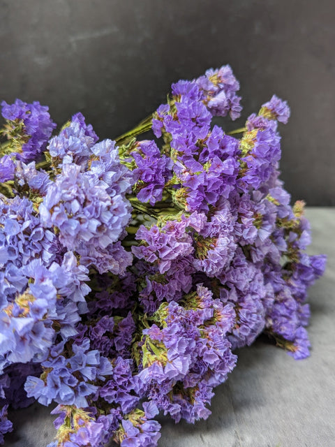 Dried Flower Bunch-Statice Purple