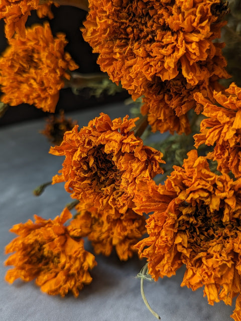Dried Flower Bunch-Marigold Orange