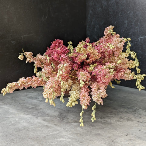 Dried Flower Bunch-Larkspur Pink