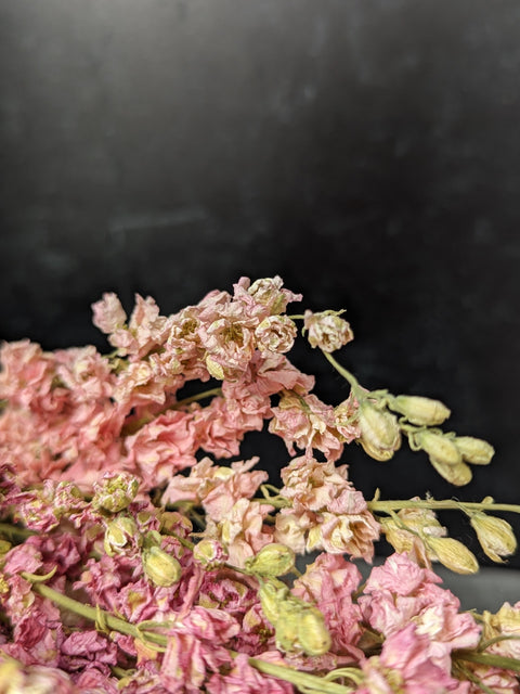 Dried Flower Bunch-Larkspur Pink