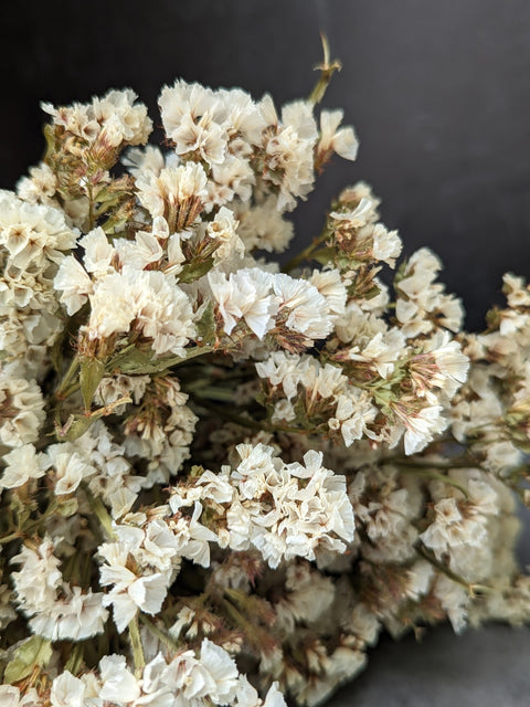 Dried Flower Bunch-Statice White