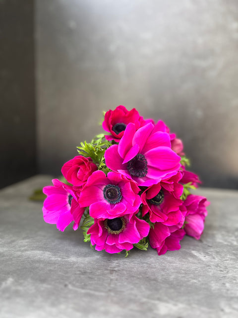 Anemone Corms-Pink - Sunny Meadows Flower Farm