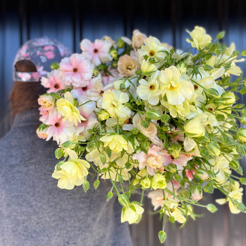 Ranunculus Butterfly Corms-Mix - Sunny Meadows Flower Farm