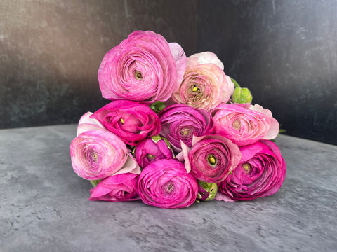 Ranunculus Corms-Purple Jean - Sunny Meadows Flower Farm