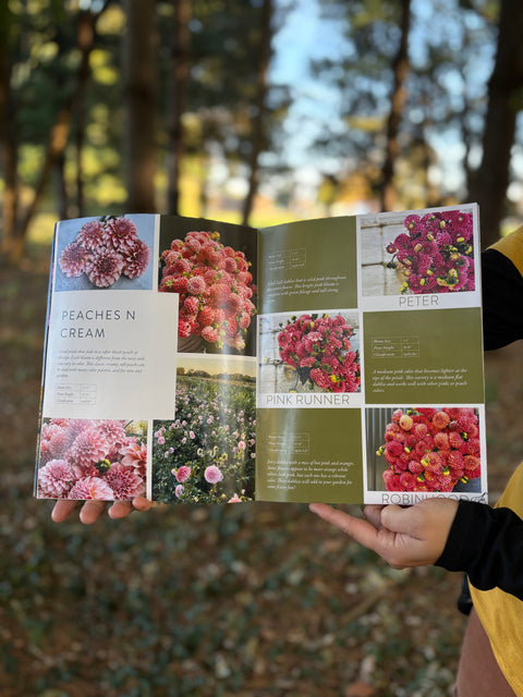Dahlia Collection Catalogue 2025 - Sunny Meadows Flower Farm