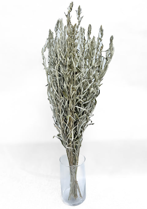Dried Grasses-Artemisia Silver King - Sunny Meadows Flower Farm