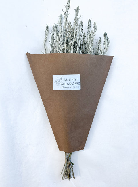 Dried Grasses-Artemisia Silver King - Sunny Meadows Flower Farm