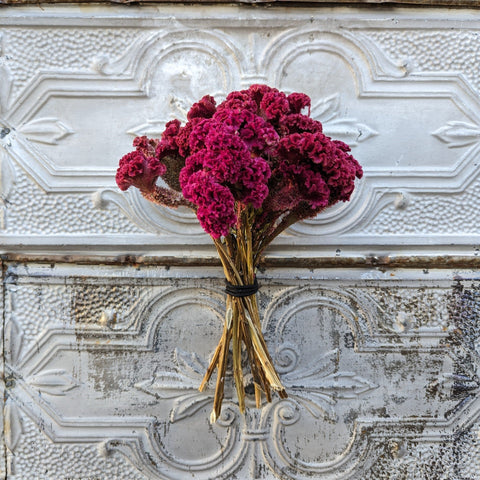 Dried Flower Bunch-Celosia Berry - Sunny Meadows Flower Farm