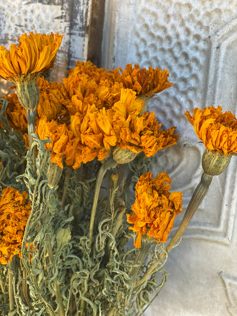 Dried Flower Bunch-Marigold Gold - Sunny Meadows Flower Farm
