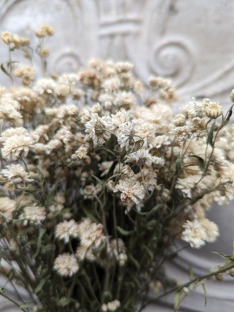 Dried Flower Bunch-Yarrow Angel's Breath - Sunny Meadows Flower Farm