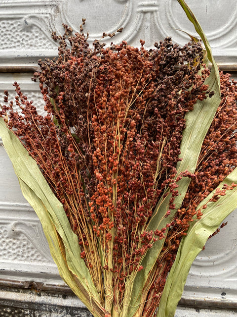 Dried Grasses-Broomcorn Red - Sunny Meadows Flower Farm