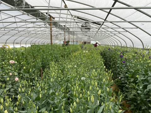 2025 Farm Tour & Book Signing with Guest Debra Prinzing - Sunny Meadows Flower Farm