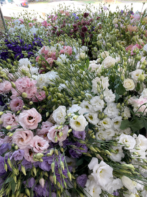 2025 Farm Tour & Book Signing with Guest Debra Prinzing - Sunny Meadows Flower Farm