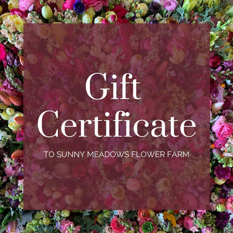 Gift Certificate - Digital