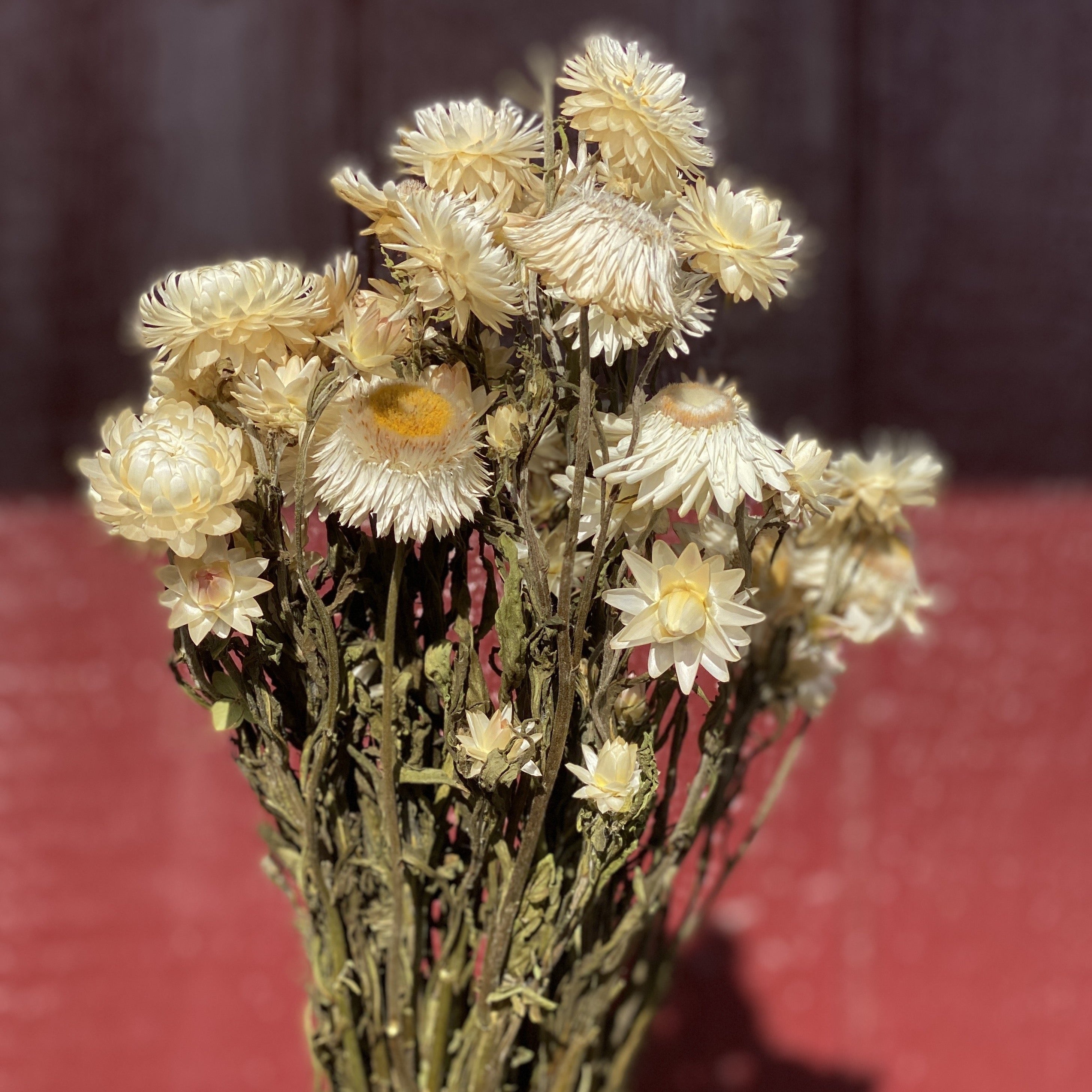 Dried Flower Bunch-Lavender – Sunny Meadows Flower Farm