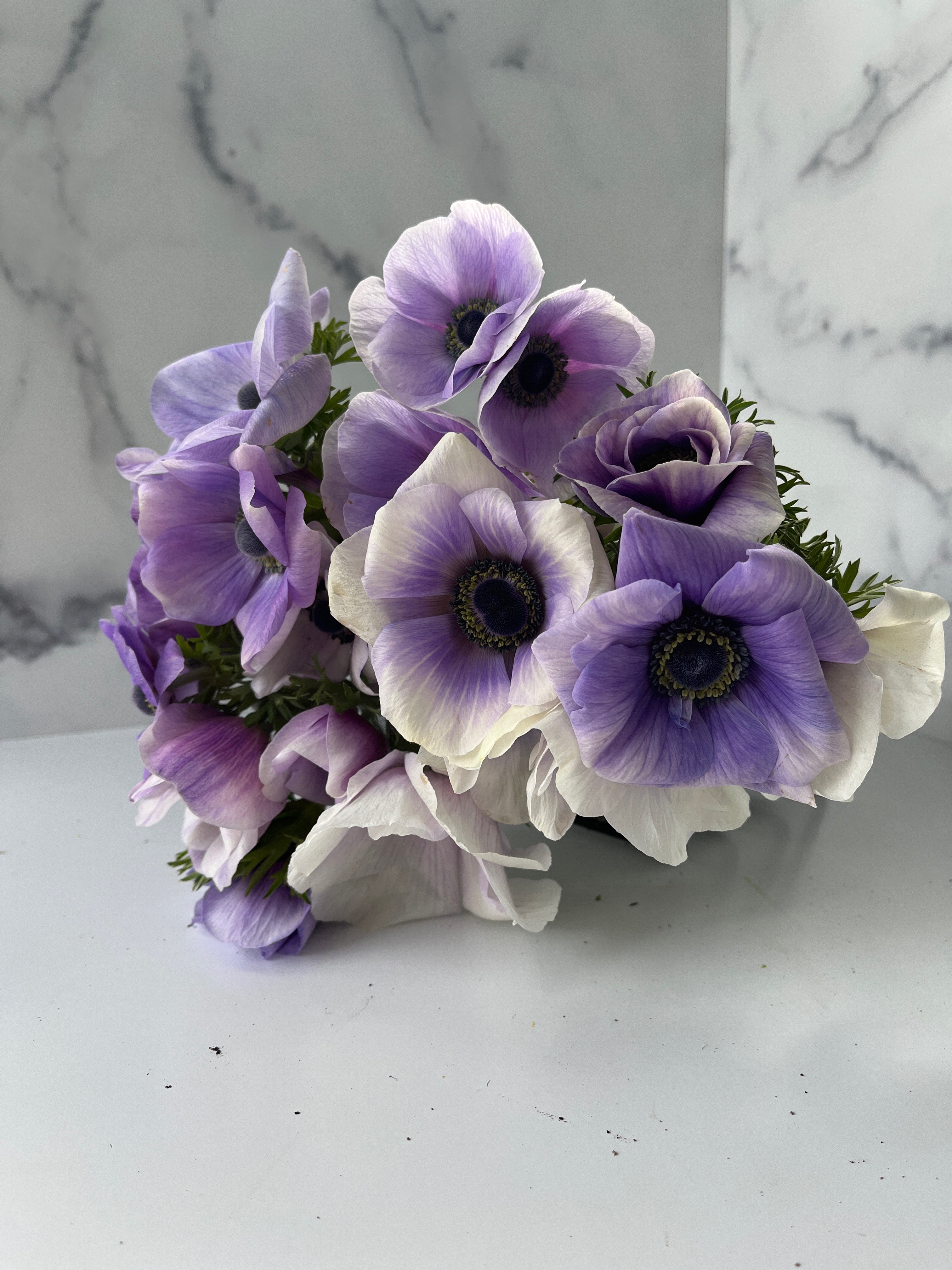 Special Order – Anemone and Iris