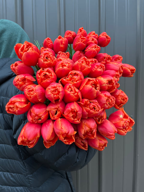 Tulip-Icoon - Sunny Meadows Flower Farm