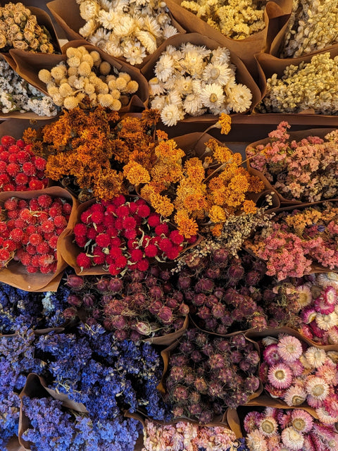 Dried Flowers by the Bunch