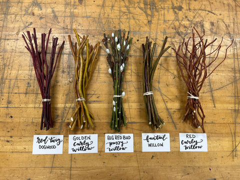 Willow Cuttings