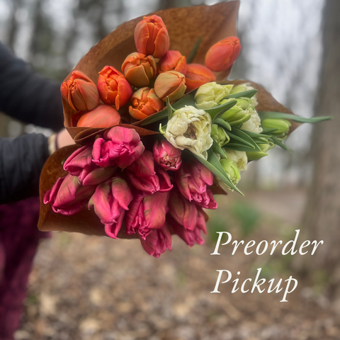 Tulips Preorder Pickup