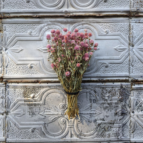 Dried Flower Bunch-Gomphrena Pink