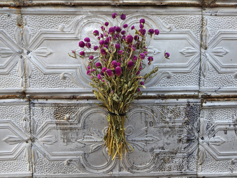 Dried Flower Bunch-Globe Amaranth Purple