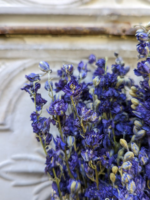 Dried Flower Bunch-Larkspur Purple