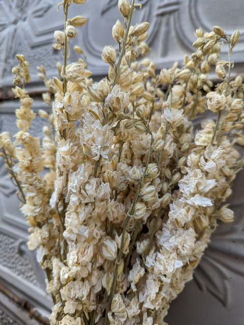 Dried Flower Bunch-Larkspur White
