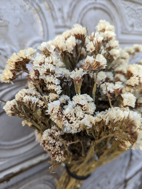 Dried Flower Bunch-Statice White