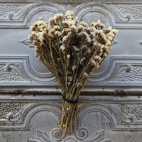 Dried Flower Bunch-Statice White