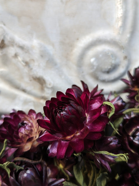 Dried Flower Bunch-Strawflower Burgundy