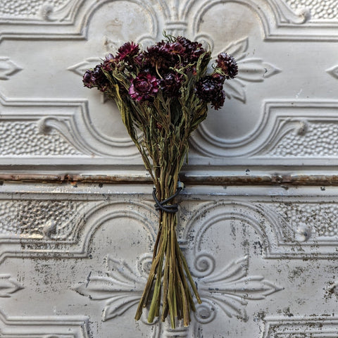 Dried Flower Bunch-Strawflower Burgundy