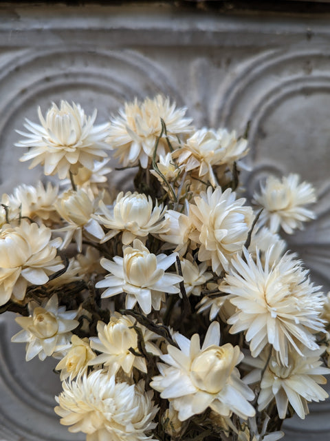 Dried Flower Bunch-Strawflower White