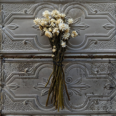 Dried Flower Bunch-Strawflower White