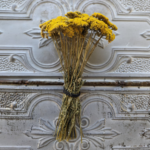 Dried Flower Bunch-Yellow Yarrow