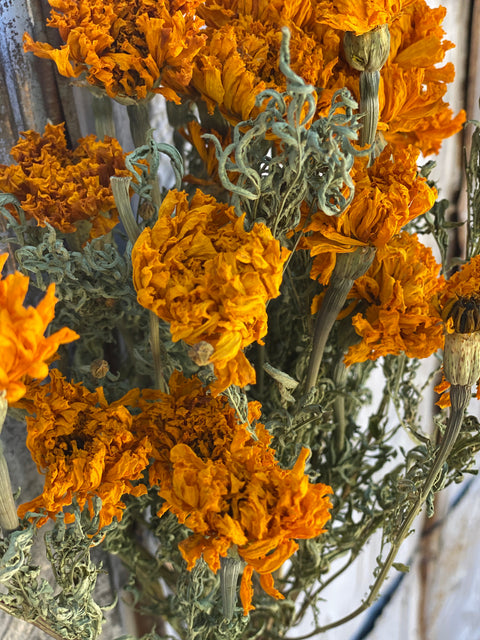 Dried Flower Bunch-Marigold Gold