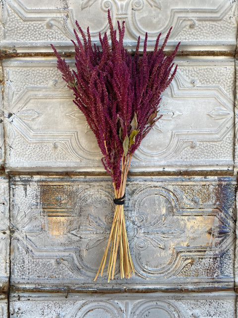 Dried Foliage Bunch-Amaranth Burgundy