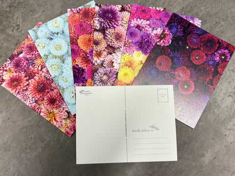 Dahlia Post Cards