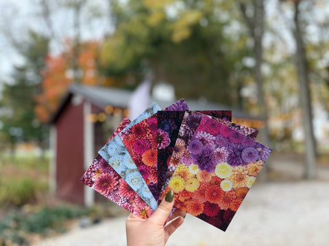 Dahlia Post Cards