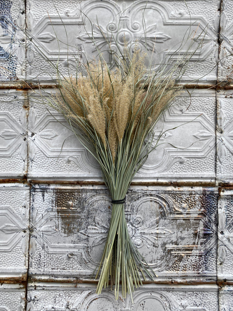 Dried Grasses-Miscanthus Plumes