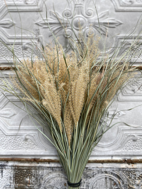 Dried Grasses-Miscanthus Plumes