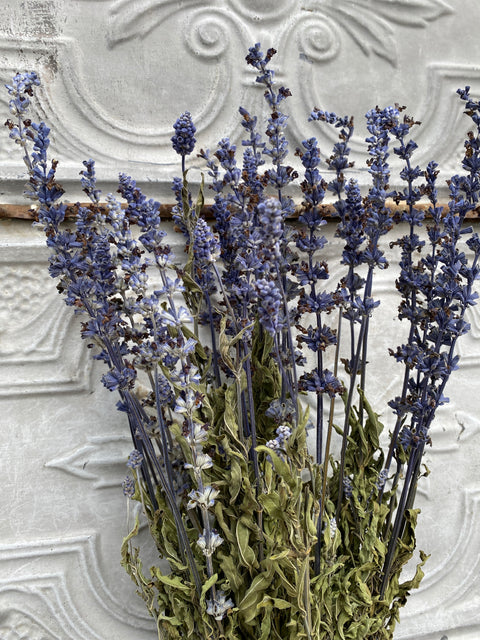 Dried Flower Bunch-Salvia