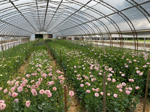 2025 Farm Tour & Book Signing